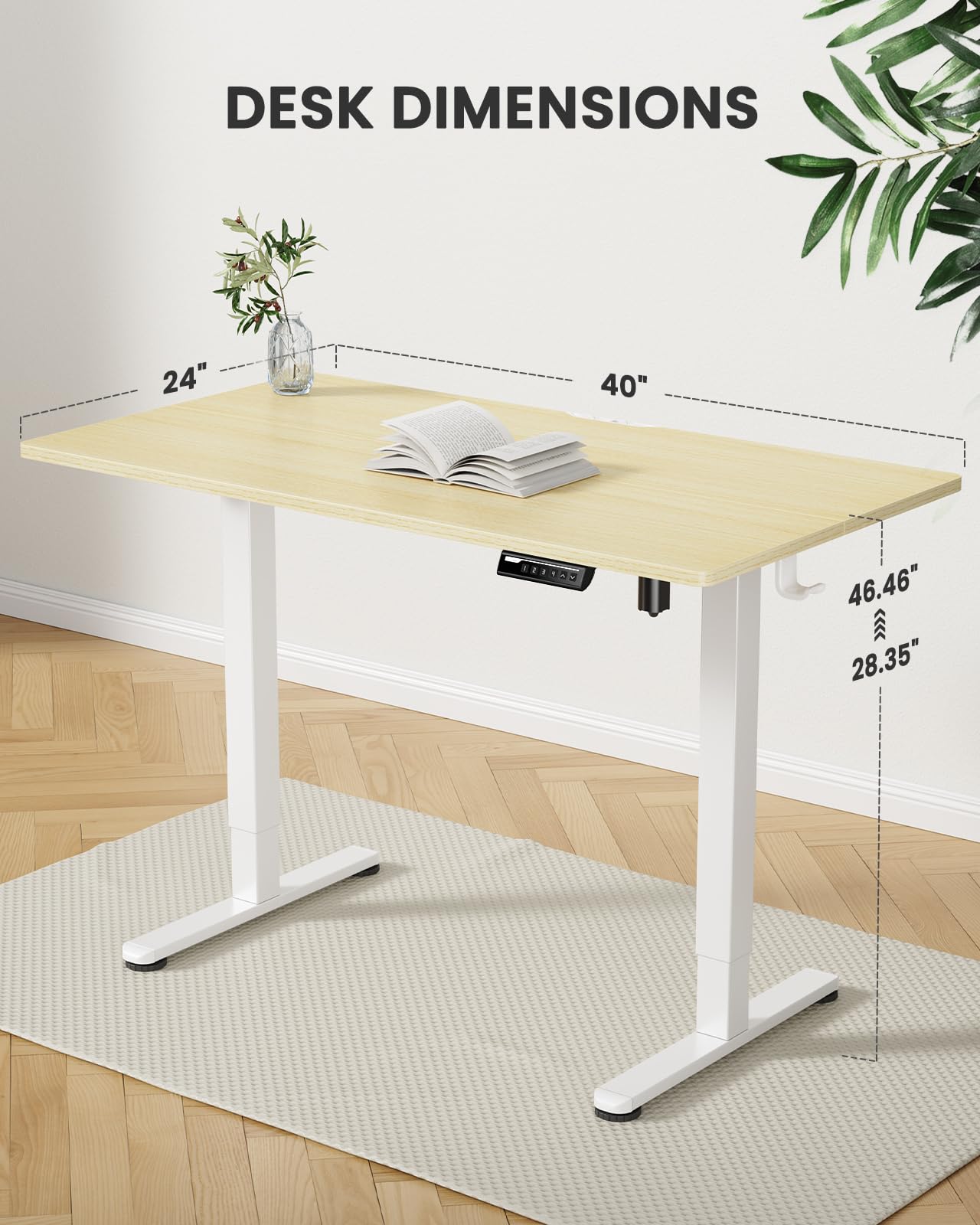 ErGear Height Adjustable Electric Standing Desk, 55 x 28 Inches Sit Stand up Desk, Large Memory Computer Home Office Desk with Two-Piece Desktop (Black)