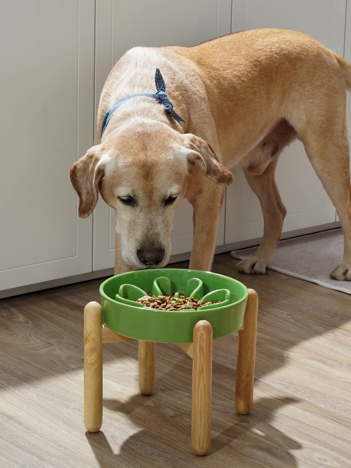 LE TAUCI Dog Bowls Slow Feeder Ceramic, 1.5 Cups Slow Feeding Dog Bowl Small Medium Breed, Puppy Slow Feeder Bowl for Fast Eater, Dog Dishes to Slow Down Eating, Puzzle Dog Food Bowl, Maze Purple