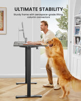 ErGear Height Adjustable Electric Standing Desk, 55 x 28 Inches Sit Stand up Desk, Large Memory Computer Home Office Desk with Two-Piece Desktop (Black)
