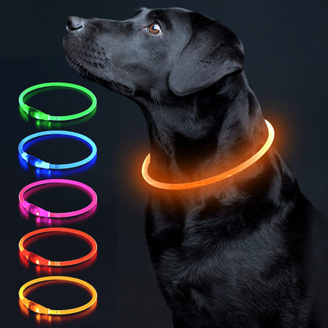 Colaseeme LED Dog Collar Light Up Dog Collars 1 Count USB Rechargeable TPU Glow Safety Basic Dog Collars, Please Do Not Use Fast Charging (Green)