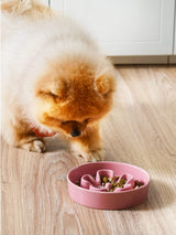 LE TAUCI Dog Bowls Slow Feeder Ceramic, 1.5 Cups Slow Feeding Dog Bowl Small Medium Breed, Puppy Slow Feeder Bowl for Fast Eater, Dog Dishes to Slow Down Eating, Puzzle Dog Food Bowl, Maze Purple