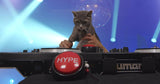 Hype Button | Hip Hop Air Horn Sound Effect Button (Batteries Included) Stocking Stuffer Back to School Classroom Teacher Office Desk Sales Marketing Gag Nut Funny Toy Live Streaming Gaming DJ Remix