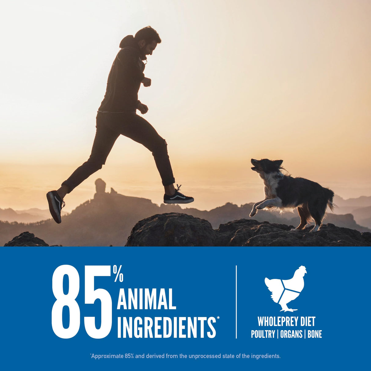 ORIJEN Dry Dog Food, Grain Free Dry Dog Food for All Life Stages, Fresh or Raw Ingredients, 13lb, Multiple Options