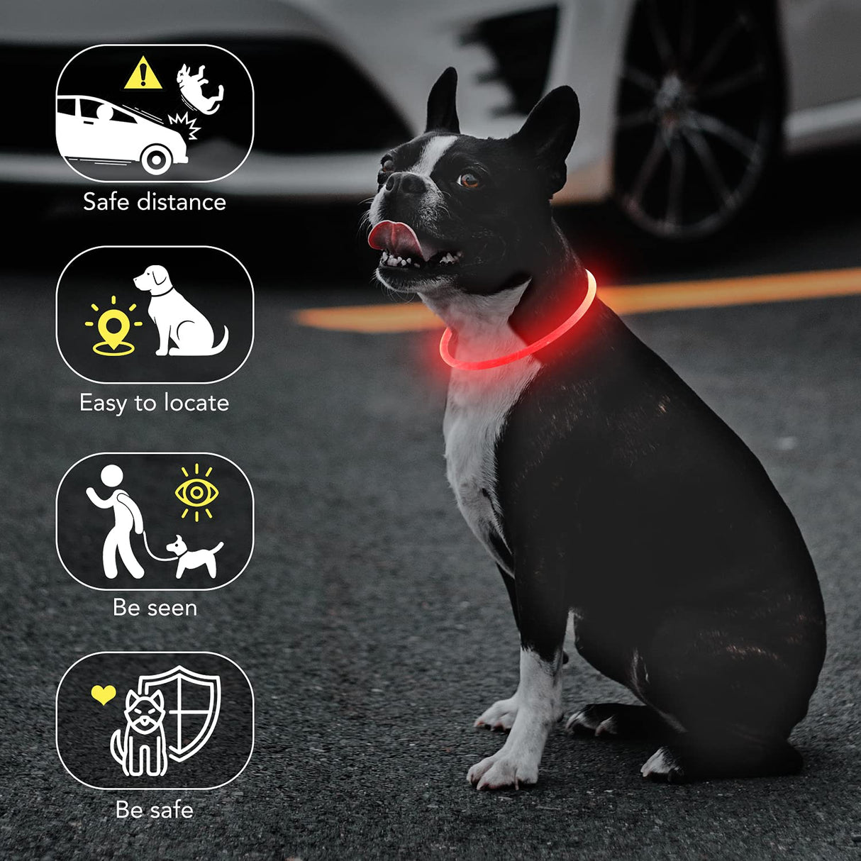 Colaseeme LED Dog Collar Light Up Dog Collars 1 Count USB Rechargeable TPU Glow Safety Basic Dog Collars, Please Do Not Use Fast Charging (Green)