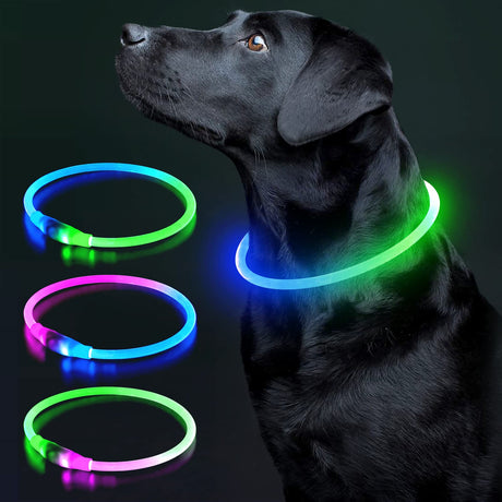Colaseeme LED Dog Collar Light Up Dog Collars 1 Count USB Rechargeable TPU Glow Safety Basic Dog Collars, Please Do Not Use Fast Charging (Green)