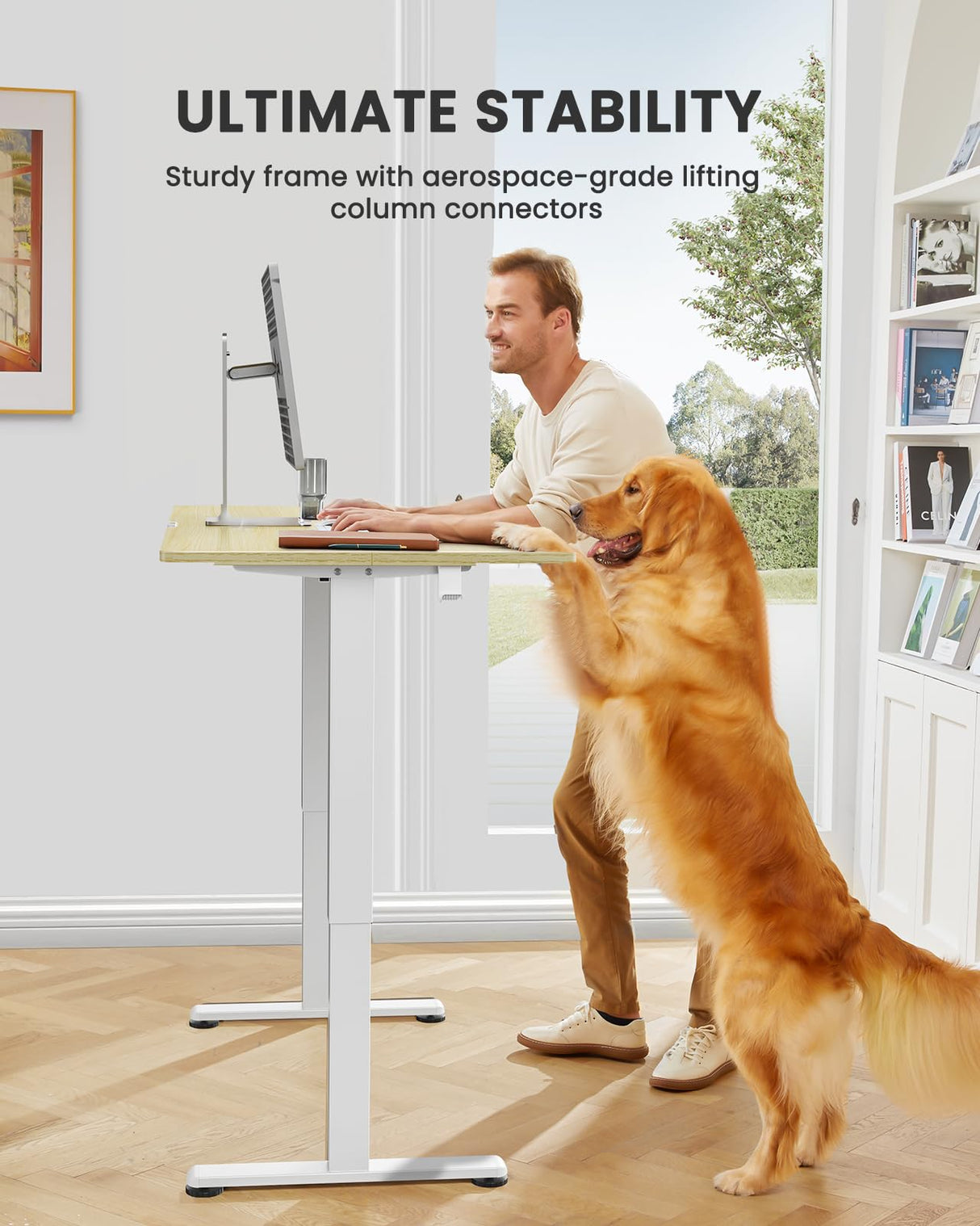 ErGear Height Adjustable Electric Standing Desk, 55 x 28 Inches Sit Stand up Desk, Large Memory Computer Home Office Desk with Two-Piece Desktop (Black)