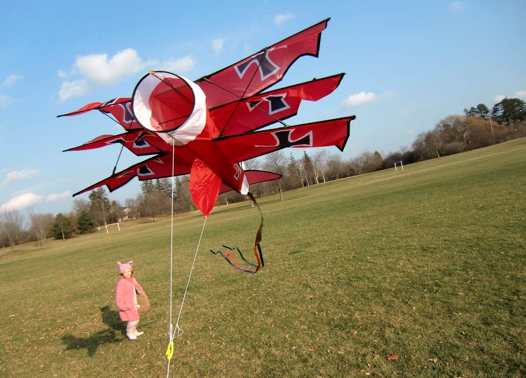 WindNSun Supersize 3D Nylon Kites