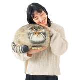 Sew Butiful Steppe Cat Plush 30cm/12inch Pallas Cat Stuffed Animal, Cute Plushies for Girls, Soft Plush Pillow, Throw Pillow Doll Decoration Doll Birthday Gift for Kids Boys Party