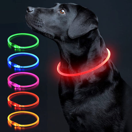 Colaseeme LED Dog Collar Light Up Dog Collars 1 Count USB Rechargeable TPU Glow Safety Basic Dog Collars, Please Do Not Use Fast Charging (Green)