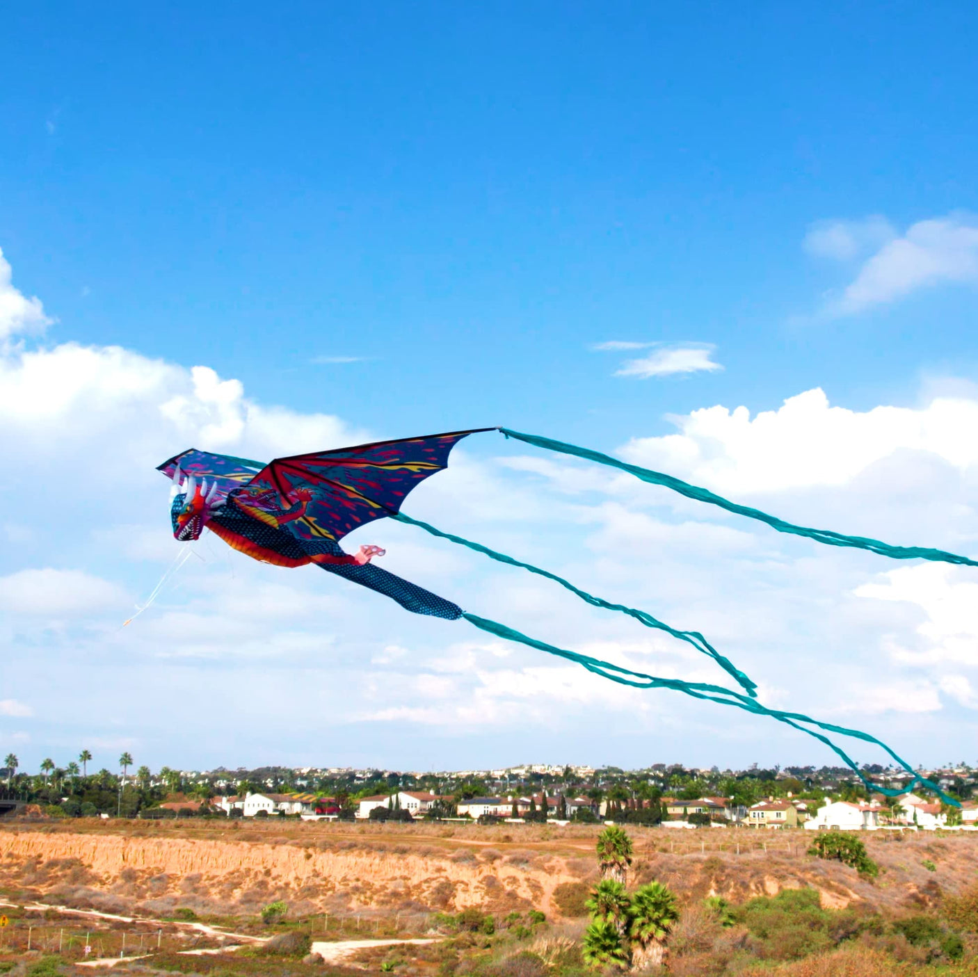 WindNSun Supersize 3D Nylon Kites