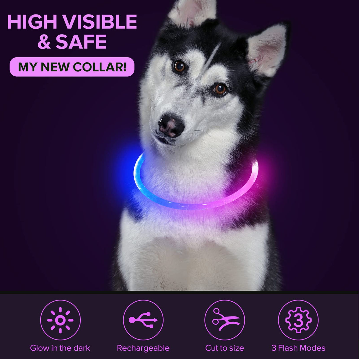 Colaseeme LED Dog Collar Light Up Dog Collars 1 Count USB Rechargeable TPU Glow Safety Basic Dog Collars, Please Do Not Use Fast Charging (Green)