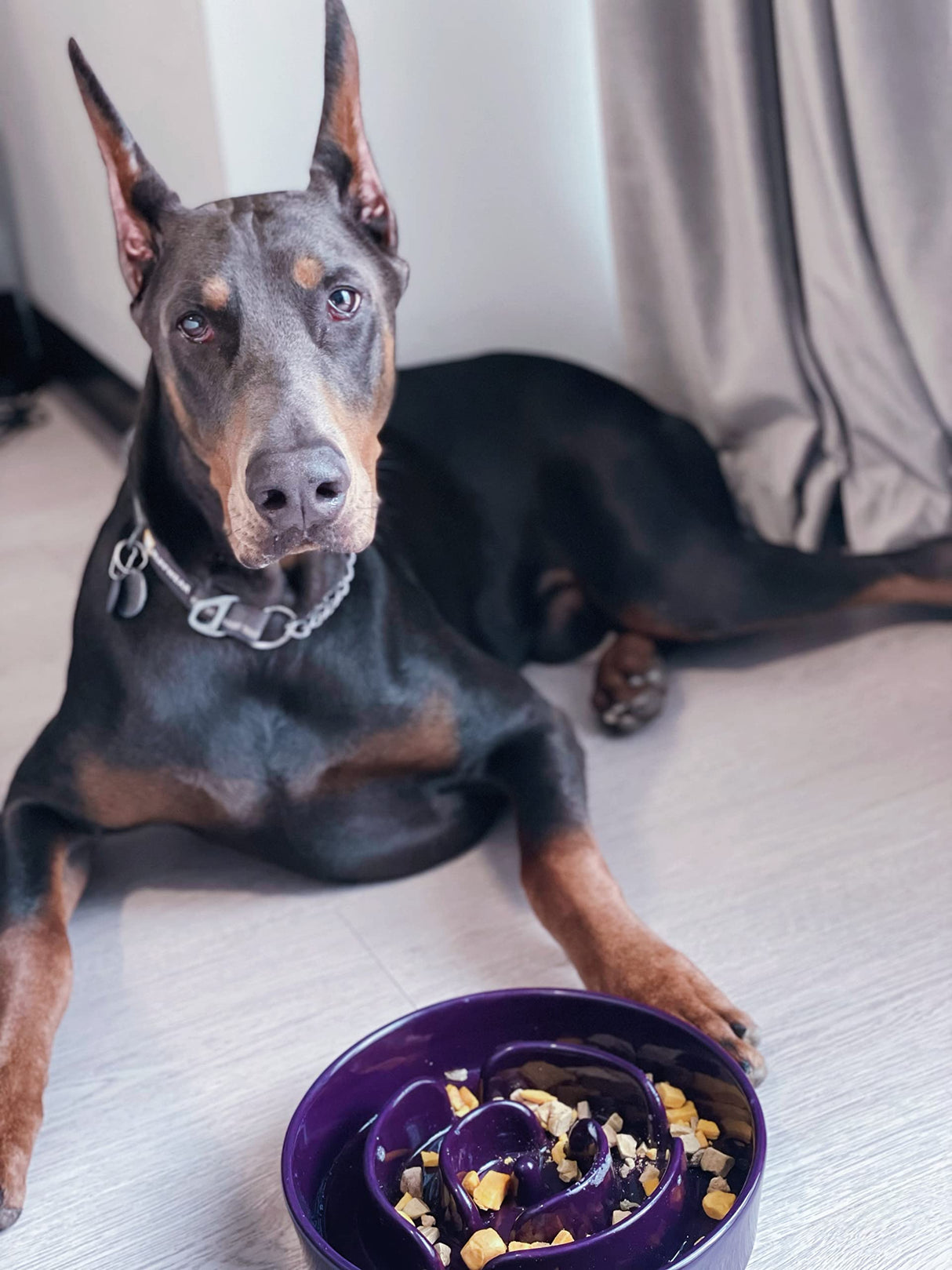 LE TAUCI Dog Bowls Slow Feeder Ceramic, 1.5 Cups Slow Feeding Dog Bowl Small Medium Breed, Puppy Slow Feeder Bowl for Fast Eater, Dog Dishes to Slow Down Eating, Puzzle Dog Food Bowl, Maze Purple