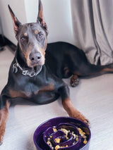 LE TAUCI Dog Bowls Slow Feeder Ceramic, 1.5 Cups Slow Feeding Dog Bowl Small Medium Breed, Puppy Slow Feeder Bowl for Fast Eater, Dog Dishes to Slow Down Eating, Puzzle Dog Food Bowl, Maze Purple