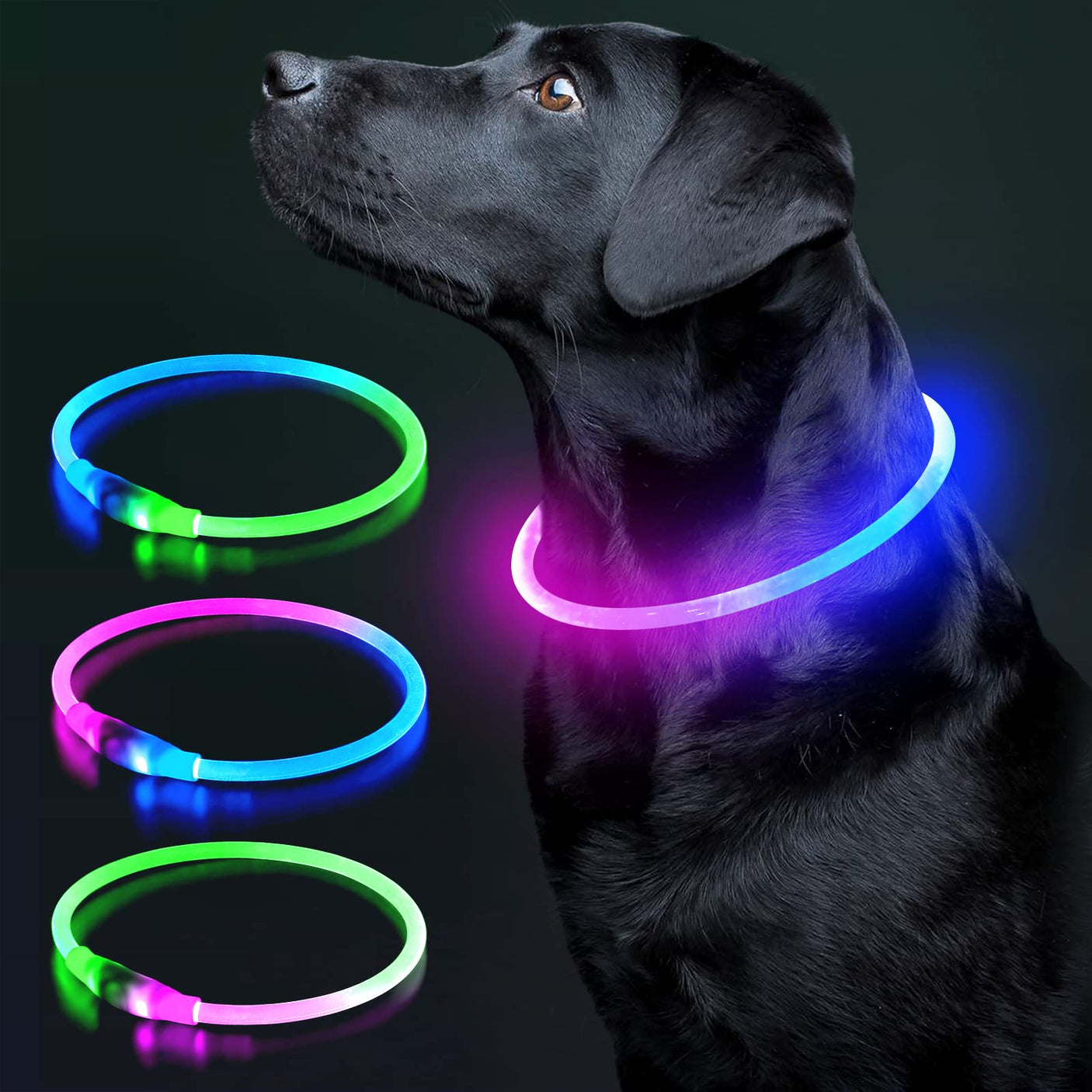 Colaseeme LED Dog Collar Light Up Dog Collars 1 Count USB Rechargeable TPU Glow Safety Basic Dog Collars, Please Do Not Use Fast Charging (Green)