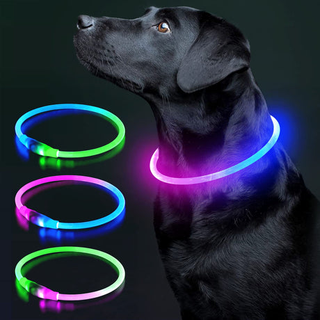 Colaseeme LED Dog Collar Light Up Dog Collars 1 Count USB Rechargeable TPU Glow Safety Basic Dog Collars, Please Do Not Use Fast Charging (Green)