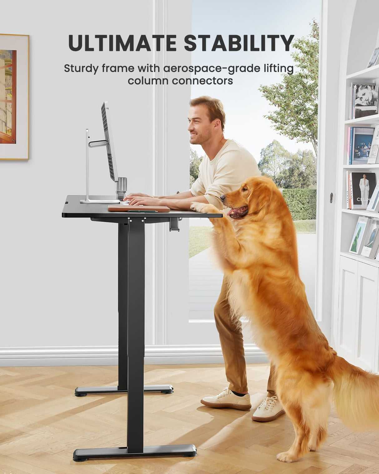 ErGear Height Adjustable Electric Standing Desk, 55 x 28 Inches Sit Stand up Desk, Large Memory Computer Home Office Desk with Two-Piece Desktop (Black)