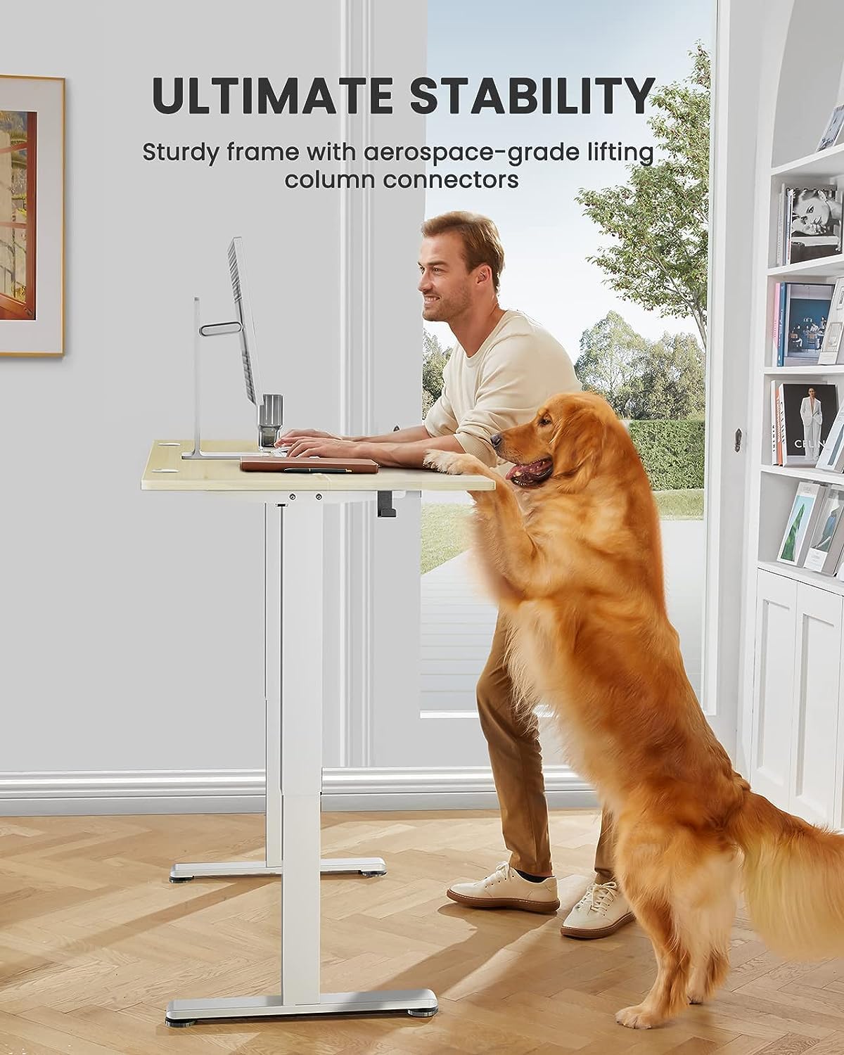 ErGear Height Adjustable Electric Standing Desk, 55 x 28 Inches Sit Stand up Desk, Large Memory Computer Home Office Desk with Two-Piece Desktop (Black)