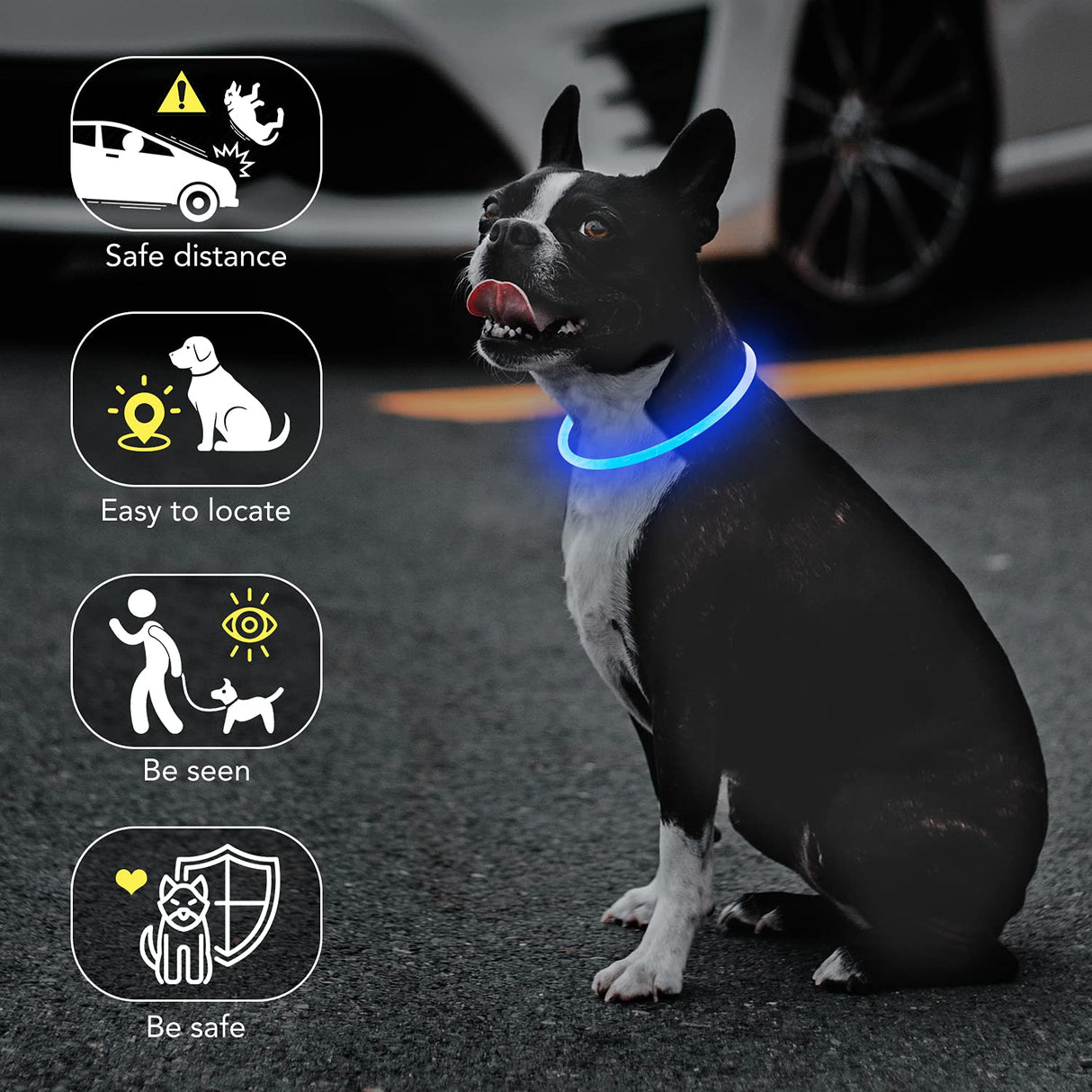Colaseeme LED Dog Collar Light Up Dog Collars 1 Count USB Rechargeable TPU Glow Safety Basic Dog Collars, Please Do Not Use Fast Charging (Green)