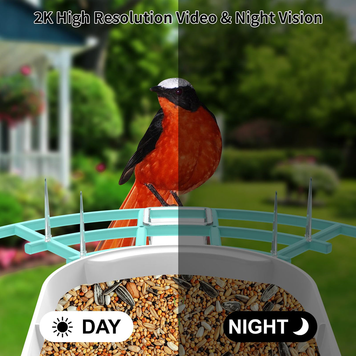 Bird Feeder with Camera,AI Identify Birds Species,Smart Birds Camera with Solar Powered,Auto Record 2K Birds Video in Backyard,Instant Notifications,Ideal Gifts for Family and Bird Lovers,Navy Blue