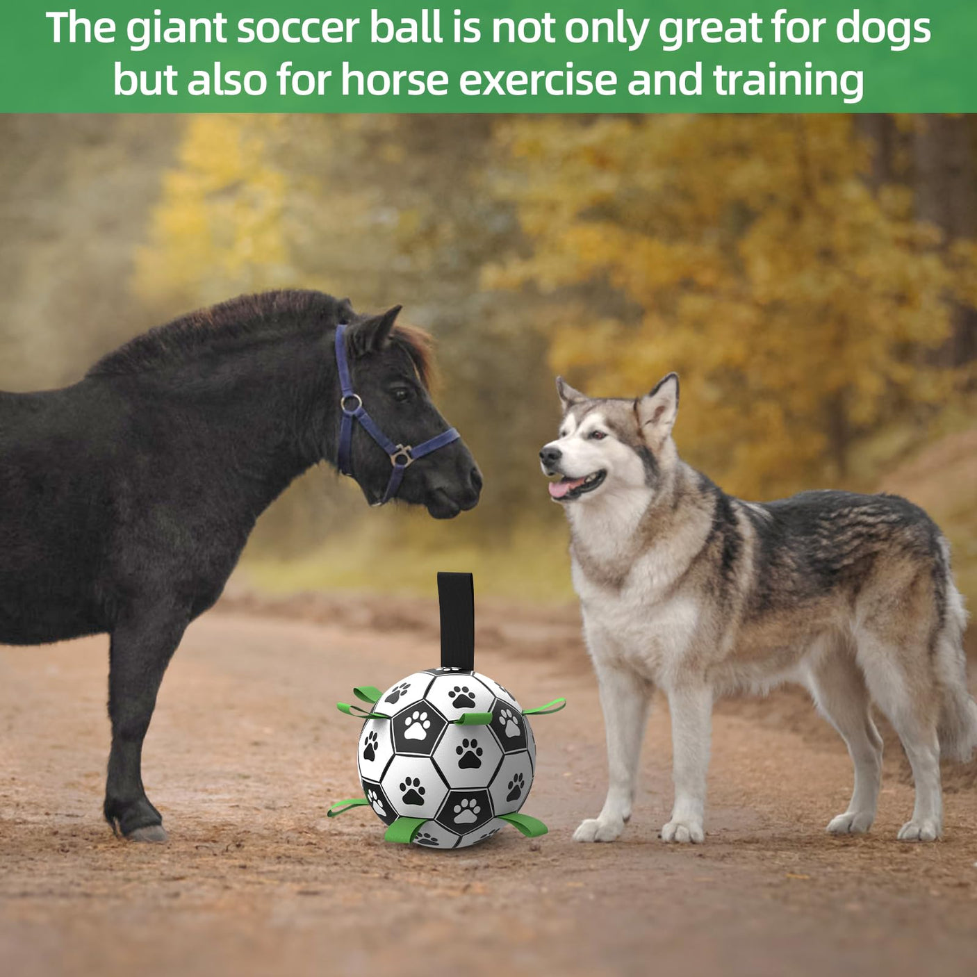 QDAN Premium Dog Toys Balls, Dog Soccer Ball with Straps, Dog Birthday Gifts, Herding Ball, Durable Balls for Small Medium Pet, Puppy Outdoor Toy, Pet Training Soccer Ball, World Cup Soccer (6 Inch)