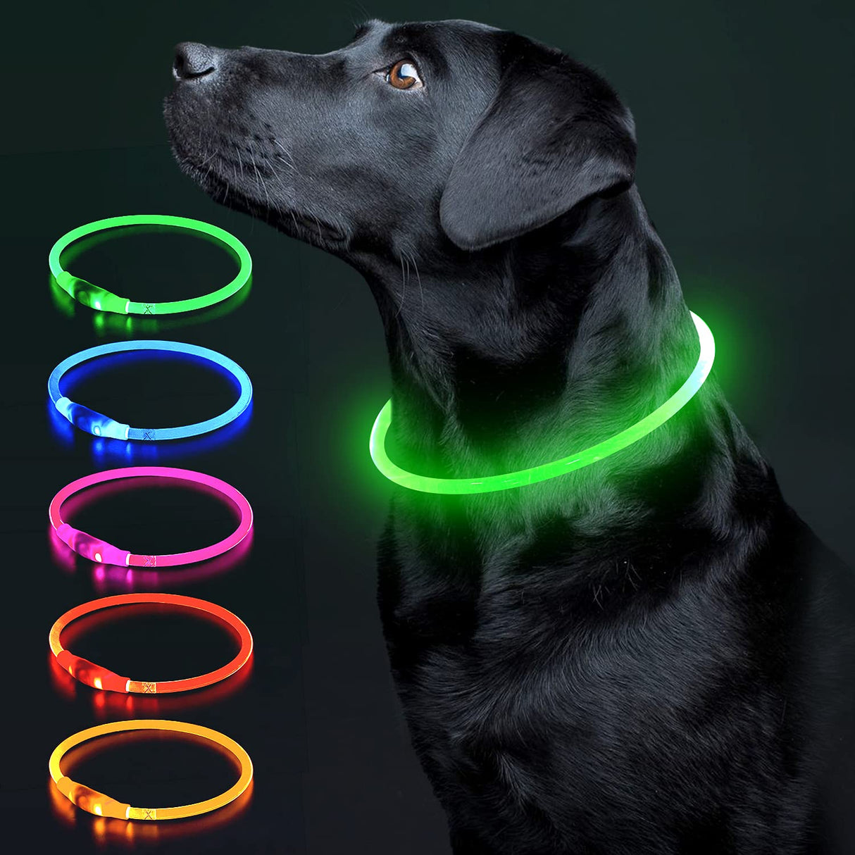 Colaseeme LED Dog Collar Light Up Dog Collars 1 Count USB Rechargeable TPU Glow Safety Basic Dog Collars, Please Do Not Use Fast Charging (Green)