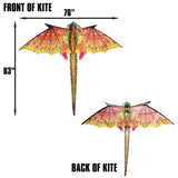 WindNSun Supersize 3D Nylon Kites