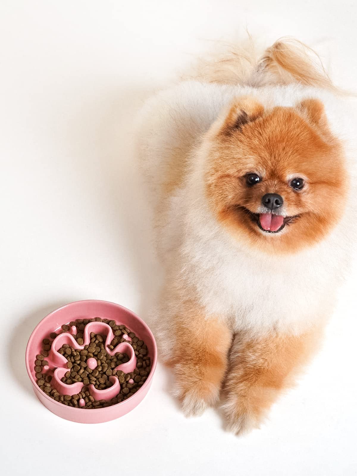 LE TAUCI Dog Bowls Slow Feeder Ceramic, 1.5 Cups Slow Feeding Dog Bowl Small Medium Breed, Puppy Slow Feeder Bowl for Fast Eater, Dog Dishes to Slow Down Eating, Puzzle Dog Food Bowl, Maze Purple