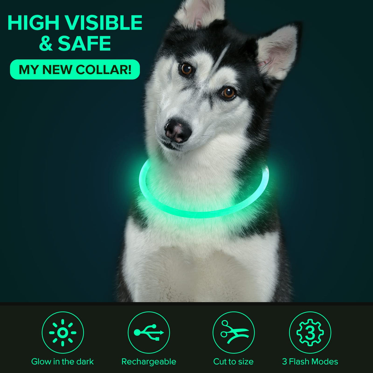 Colaseeme LED Dog Collar Light Up Dog Collars 1 Count USB Rechargeable TPU Glow Safety Basic Dog Collars, Please Do Not Use Fast Charging (Green)