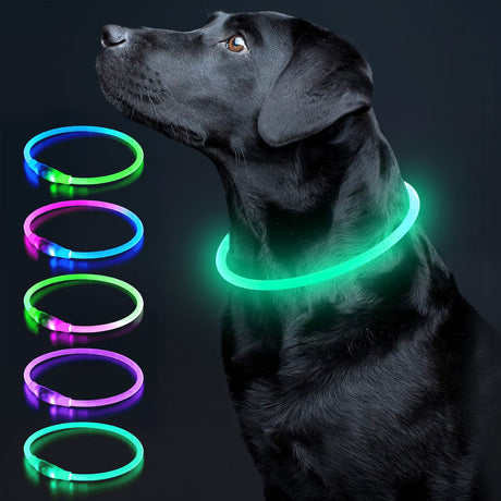 Colaseeme LED Dog Collar Light Up Dog Collars 1 Count USB Rechargeable TPU Glow Safety Basic Dog Collars, Please Do Not Use Fast Charging (Green)