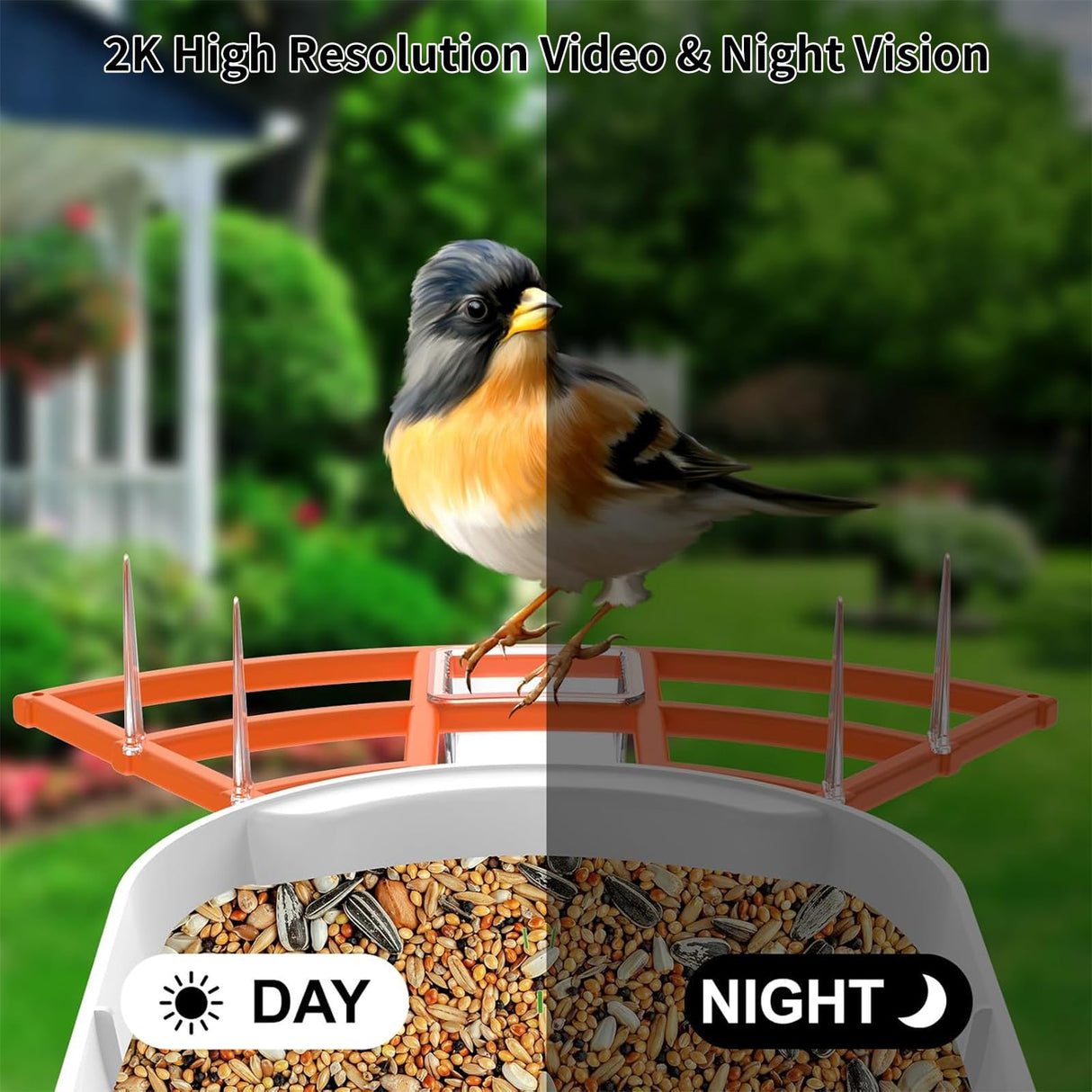 Bird Feeder with Camera,AI Identify Birds Species,Smart Birds Camera with Solar Powered,Auto Record 2K Birds Video in Backyard,Instant Notifications,Ideal Gifts for Family and Bird Lovers,Navy Blue