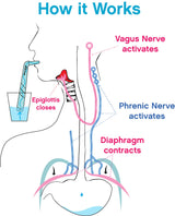 HiccAway Hiccup Straw - Stops Hiccups Naturally & Fast - As Seen On Shark Tank - Clinically Proven Relief for All Ages, Children & Adults - Safe, Lightweight, & Reusable (HiccAway Blue) 1 Pack