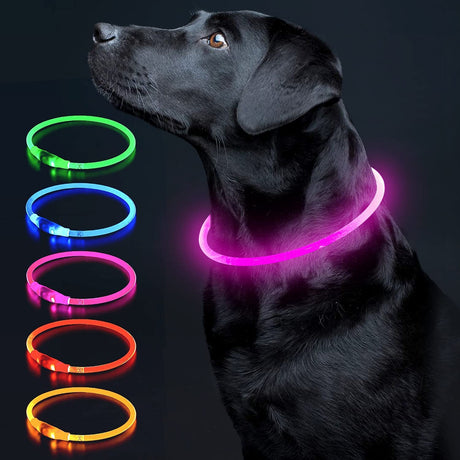 Colaseeme LED Dog Collar Light Up Dog Collars 1 Count USB Rechargeable TPU Glow Safety Basic Dog Collars, Please Do Not Use Fast Charging (Green)