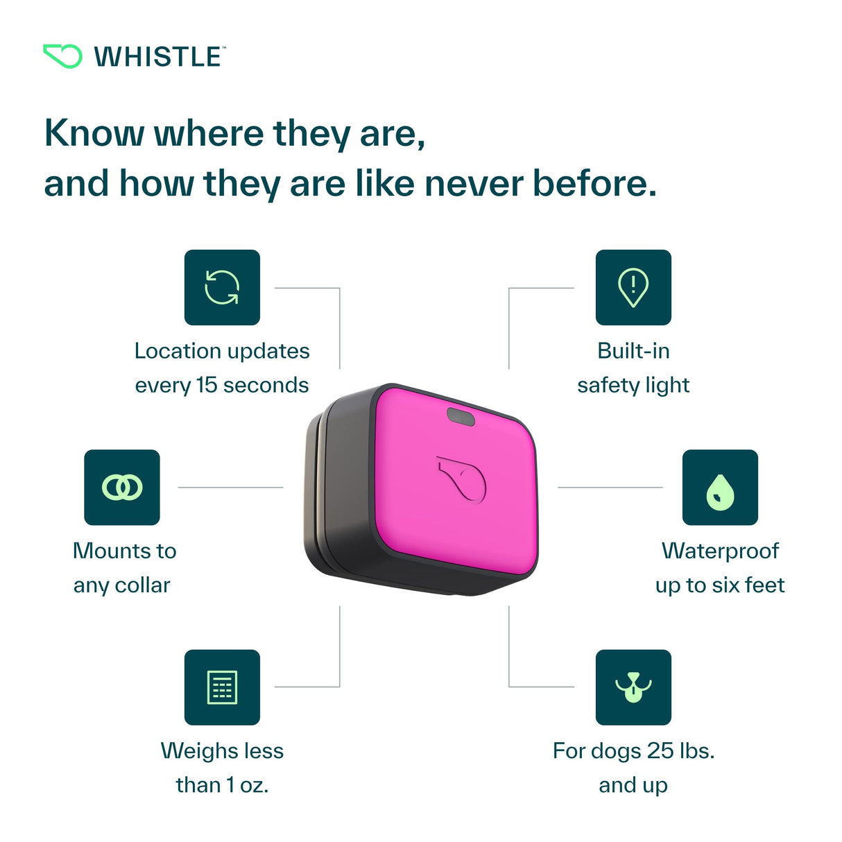 Whistle Go Explore/The Ultimate Health + GPS Location Tracker for Pets/Grey