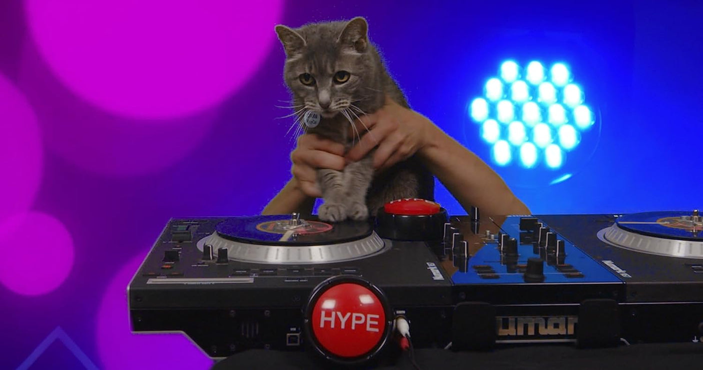 Hype Button | Hip Hop Air Horn Sound Effect Button (Batteries Included) Stocking Stuffer Back to School Classroom Teacher Office Desk Sales Marketing Gag Nut Funny Toy Live Streaming Gaming DJ Remix