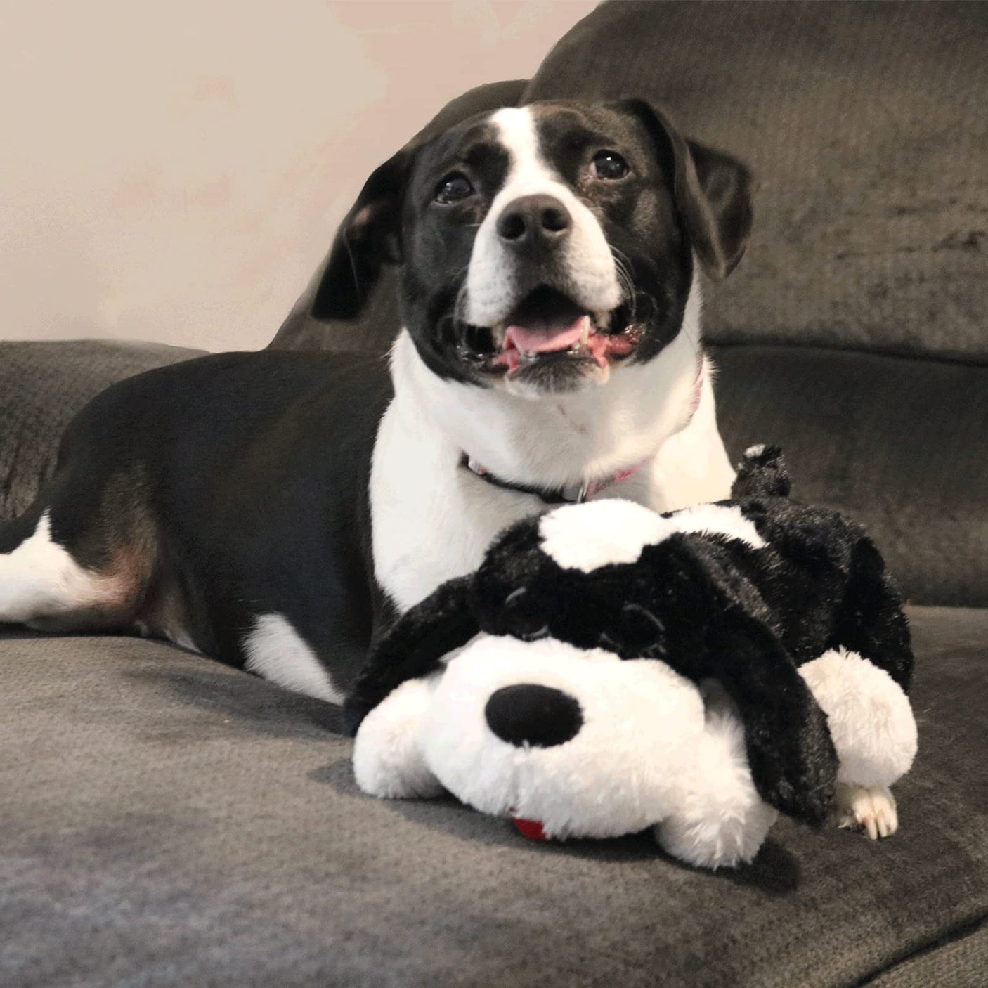 Original Snuggle Puppy Heartbeat Stuffed Dog Toy. Puppy Toy for Anxiety Relief, Calming Aid, and Comfort Toy for Behavioral Training in Golden