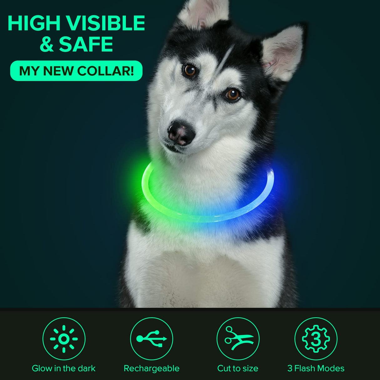Colaseeme LED Dog Collar Light Up Dog Collars 1 Count USB Rechargeable TPU Glow Safety Basic Dog Collars, Please Do Not Use Fast Charging (Green)