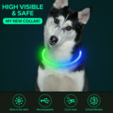Colaseeme LED Dog Collar Light Up Dog Collars 1 Count USB Rechargeable TPU Glow Safety Basic Dog Collars, Please Do Not Use Fast Charging (Green)