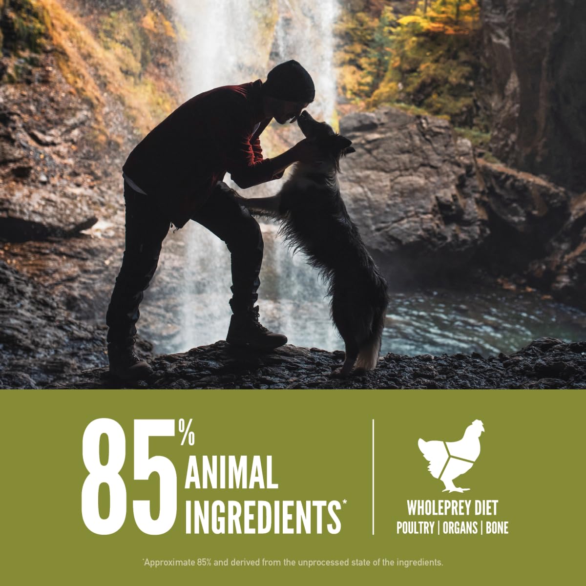 ORIJEN Dry Dog Food, Grain Free Dry Dog Food for All Life Stages, Fresh or Raw Ingredients, 13lb, Multiple Options