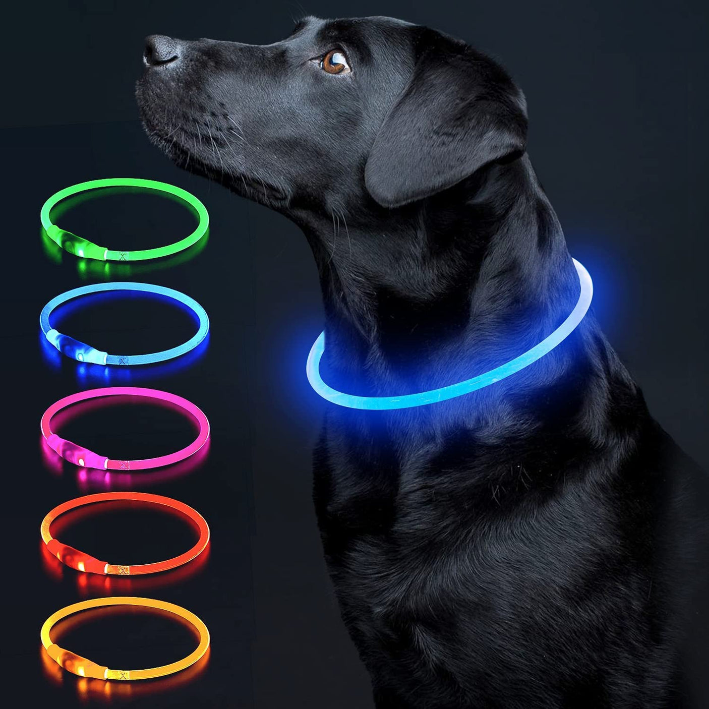 Colaseeme LED Dog Collar Light Up Dog Collars 1 Count USB Rechargeable TPU Glow Safety Basic Dog Collars, Please Do Not Use Fast Charging (Green)