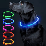 Colaseeme LED Dog Collar Light Up Dog Collars 1 Count USB Rechargeable TPU Glow Safety Basic Dog Collars, Please Do Not Use Fast Charging (Green)