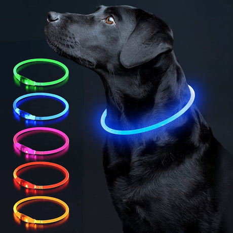Colaseeme LED Dog Collar Light Up Dog Collars 1 Count USB Rechargeable TPU Glow Safety Basic Dog Collars, Please Do Not Use Fast Charging (Green)