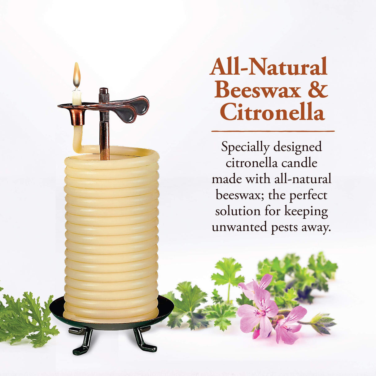 Candle by the Hour 80-Hour Vertical Candle, Eco-friendly Natural Beeswax with Cotton Wick