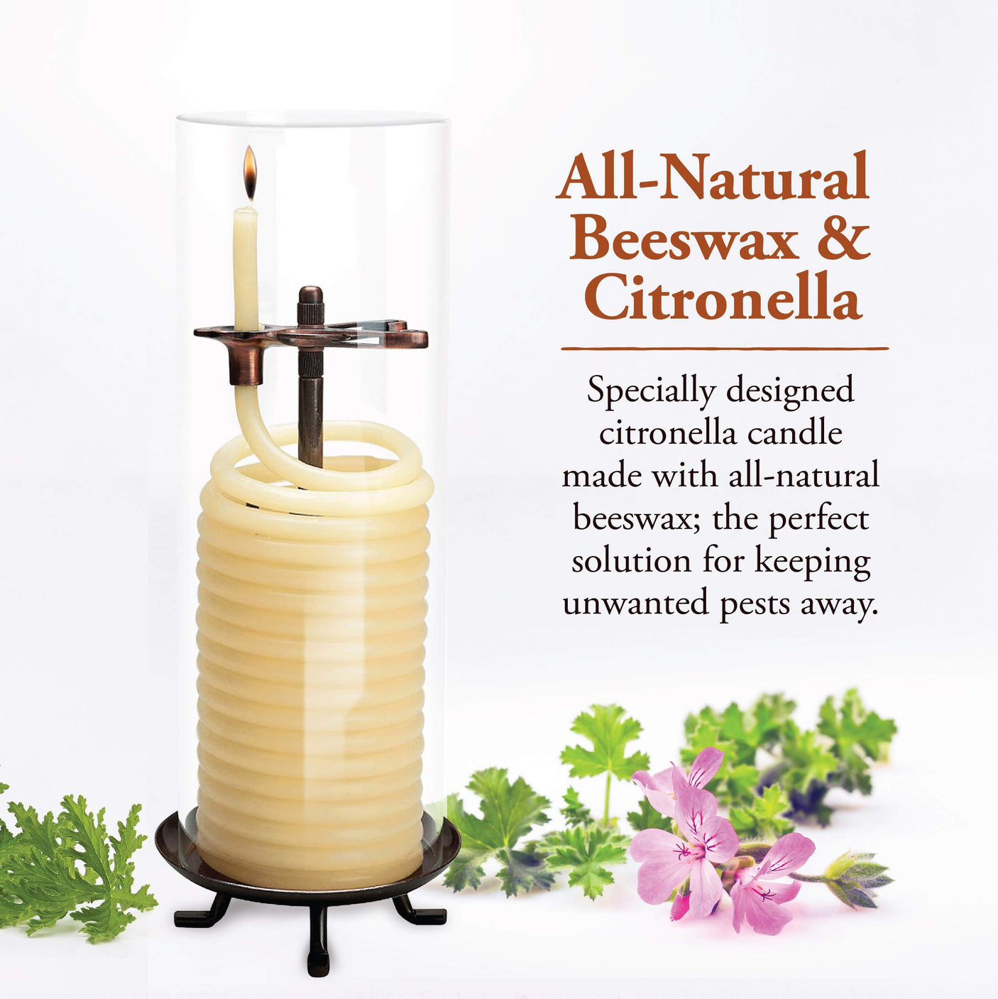 Candle by the Hour 80-Hour Vertical Candle, Eco-friendly Natural Beeswax with Cotton Wick