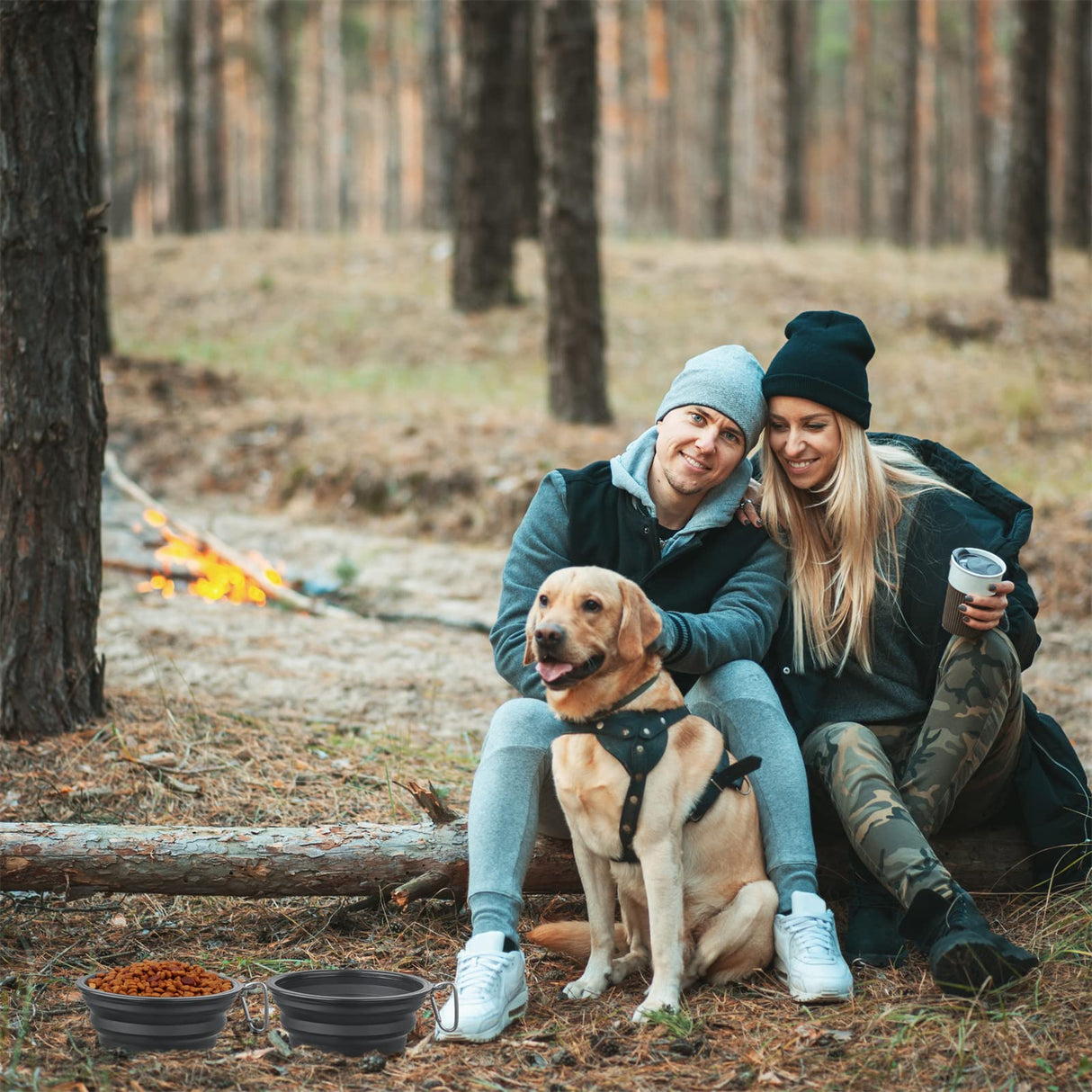 Dog Bowl Pet Collapsible Bowls, 2 Pack for Cats Dogs, Portable Pet Feeding Watering Dish for Walking Parking Traveling with 2 Carabiners (Small, Blue+Green)