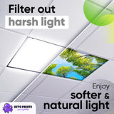 Magnetic Fluorescent Light Covers for Ceiling Lights - Astronomy Cover for Fluorescent & LED Fixture - Must Haves for Teacher Supplies - Classroom, Home, Office Decor - Shield Overhead Lighting