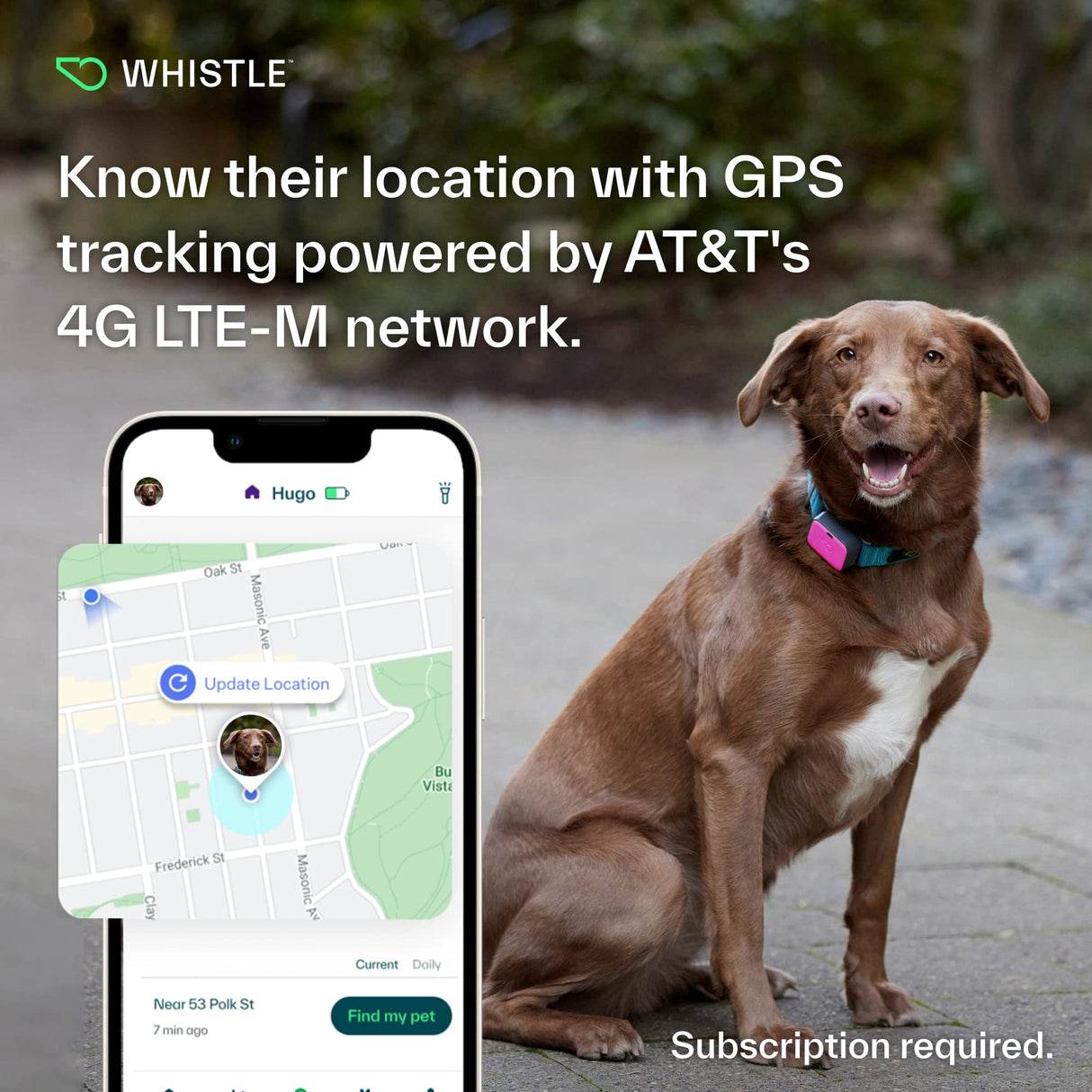 Whistle Go Explore/The Ultimate Health + GPS Location Tracker for Pets/Grey