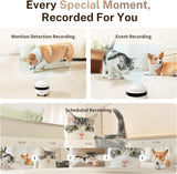 Enabot EBO 2K Camera Robot ROLA Mini: Movable Pet Camera Battery-Powered with Phone App, Indoor Cam w/One-Touch Call, 2-Way Talk, Night Vision, Motion Detection, Video Recording