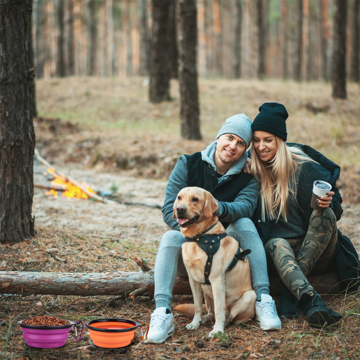 Dog Bowl Pet Collapsible Bowls, 2 Pack for Cats Dogs, Portable Pet Feeding Watering Dish for Walking Parking Traveling with 2 Carabiners (Small, Blue+Green)