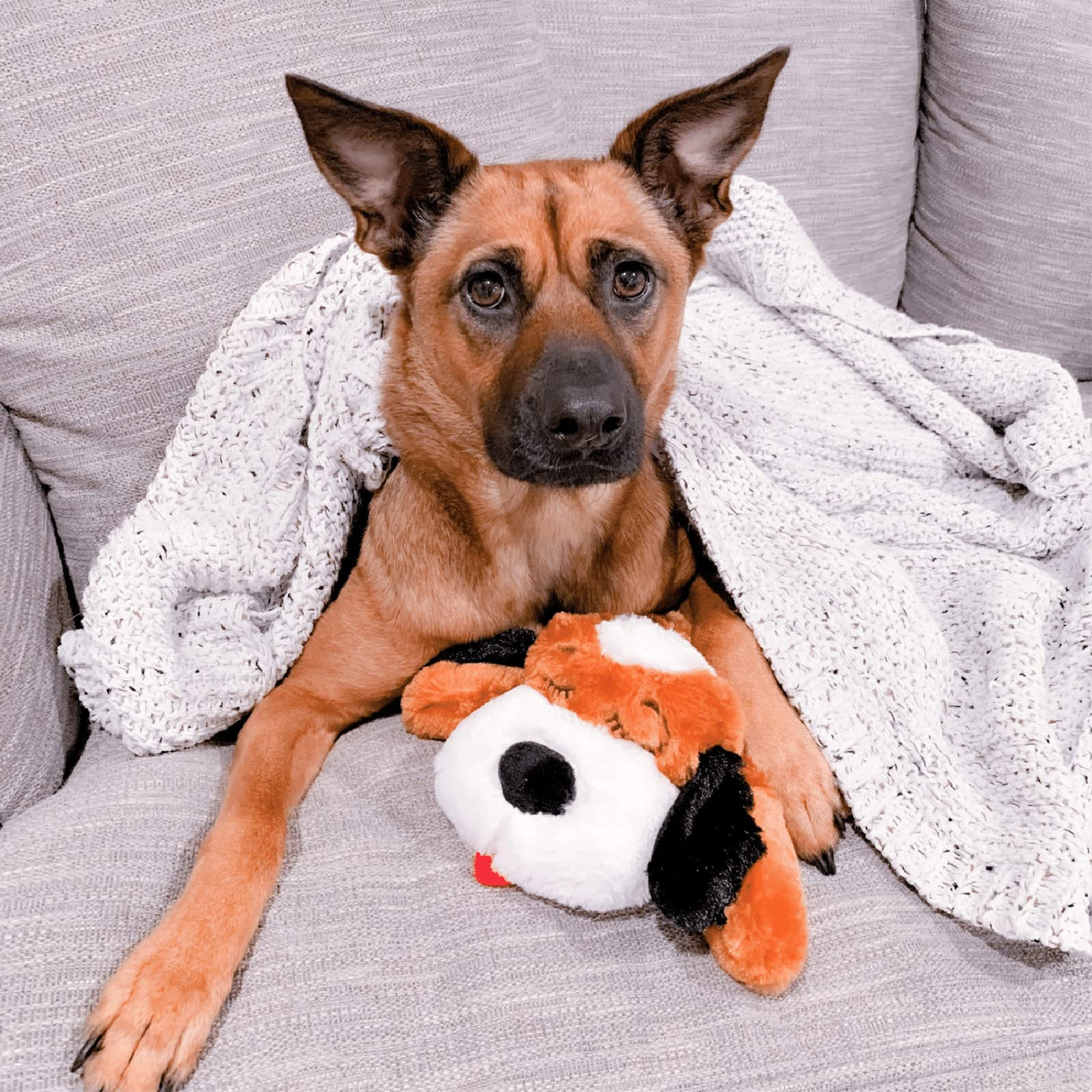 Original Snuggle Puppy Heartbeat Stuffed Dog Toy. Puppy Toy for Anxiety Relief, Calming Aid, and Comfort Toy for Behavioral Training in Golden
