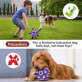 QDAN Premium Dog Toys Balls, Dog Soccer Ball with Straps, Dog Birthday Gifts, Herding Ball, Durable Balls for Small Medium Pet, Puppy Outdoor Toy, Pet Training Soccer Ball, World Cup Soccer (6 Inch)